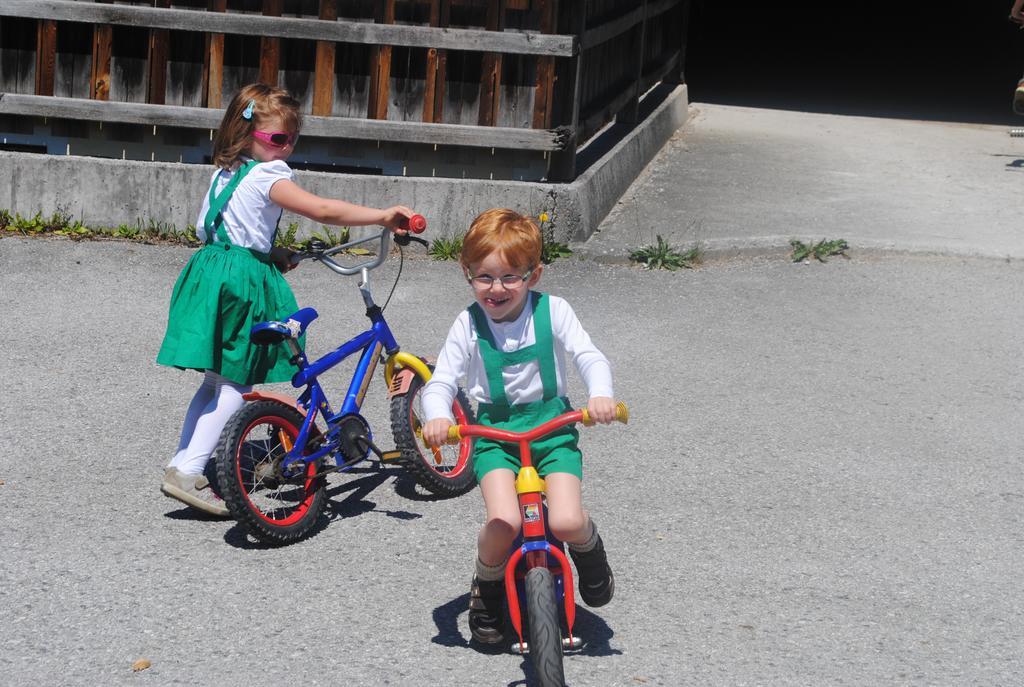 Familien-Bauernhof Neumoar Appartement Sankt Johann im Pongau Buitenkant foto