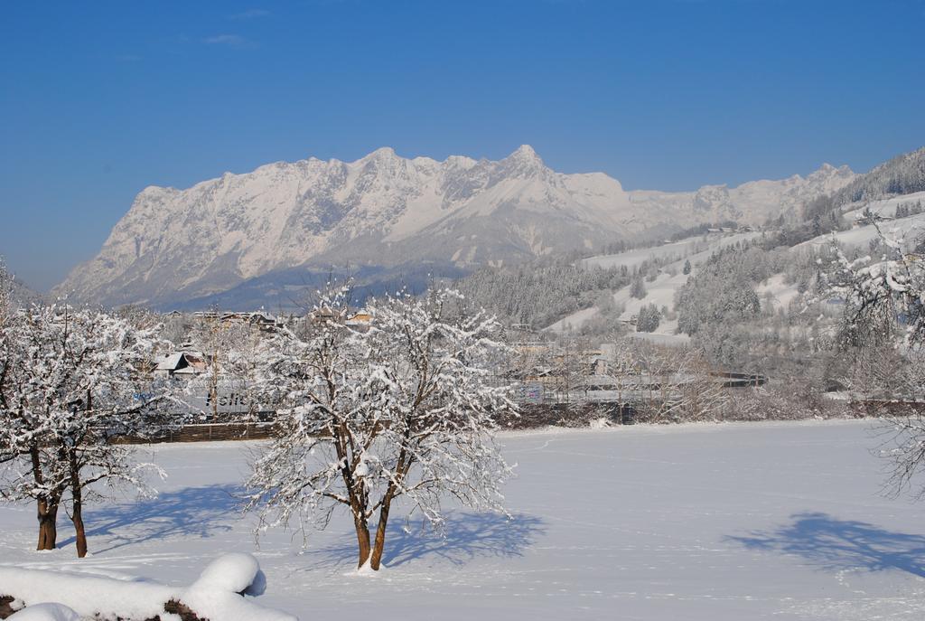 Familien-Bauernhof Neumoar Appartement Sankt Johann im Pongau Buitenkant foto