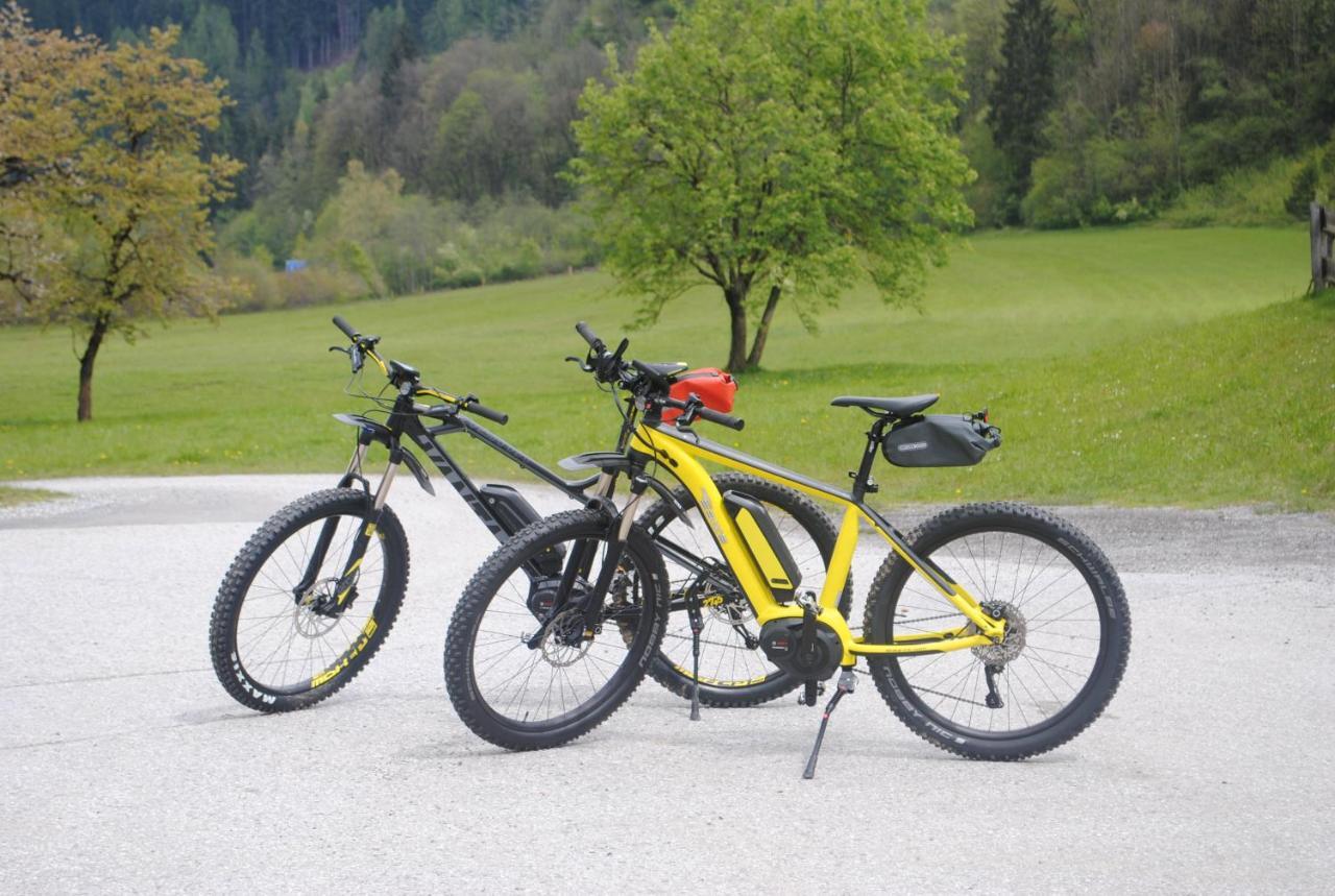 Familien-Bauernhof Neumoar Appartement Sankt Johann im Pongau Buitenkant foto